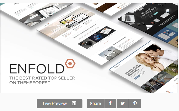 Enfold wordpress theme